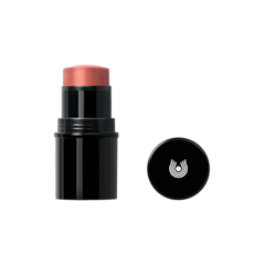 Afbeelding 1 voor Lip to Cheek Blush Stick 01 Apricot - 6.1g