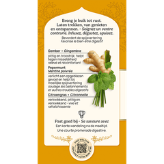 Afbeelding 2 voor Ginger BIO - 18 theezakje