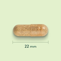 Holland & Barrett Vegetarisch Collageen - 30 capsules