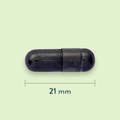 Holland & Barrett Actieve Kool 260 mg - 120 capsules