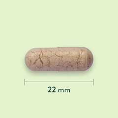 Holland & Barrett Psyllium Vezels 500mg - 180 capsules