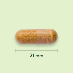 Extrait d'Artichaut 350mg - 60 capsules