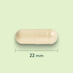 Holland & Barrett Moule à Lèvres Vertes 500 mg - 120 capsules