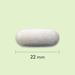 Holland & Barrett Vitamine C met Rozenbottel 1000mg - 120 tabletten