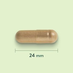 Propolis d’Abeille 500mg - 90 capsules