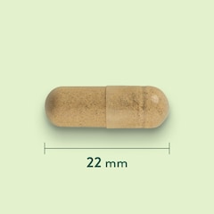 Holland & Barrett Grote Klis 425mg - 90 capsules