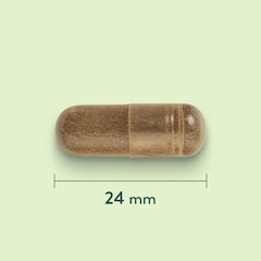 Holland & Barrett Griffe du Diable 510 mg - 120 capsules