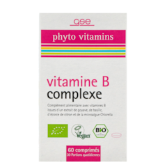 GSE Vitamine B Complexe (60 comprimés)