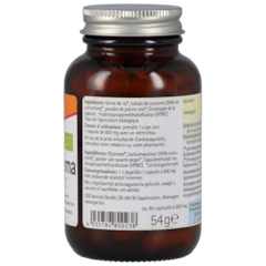 GSE Curcuma + Piperine (90 capsules)