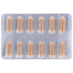 OJAS Ayurveda Bio Amla - 60 capsules