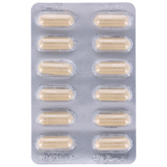 OJAS Ayurveda Bio Guduchi - 60 capsules