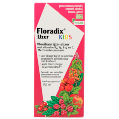 Salus Floradix IJzer Kids - 250 ml