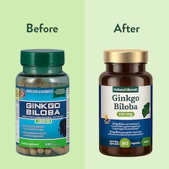 Ginkgo Biloba 120mg - 90 capsules