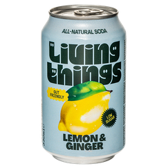 Afbeelding 1 voor Lemon & Ginger - 330ml