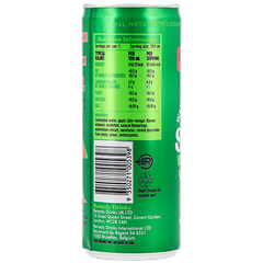 Afbeelding 2 voor Sodaly Watermelon Soft Drink - 250ml
