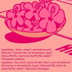 Afbeelding 3 voor Hibiscus - 25cl