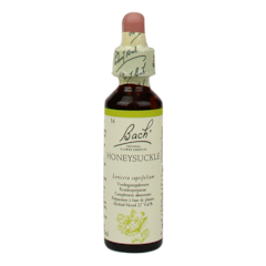 Bach Bloesem Remedie Honeysuckle (20ml)