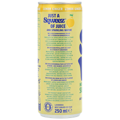 Afbeelding 2 voor Lemon Ginger Soda - 250ml
