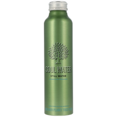 Afbeelding 1 voor Soul Water Mineraalwater Fles - 500 ml