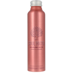 Afbeelding 1 voor Soul Water Bruisend Mineraalwater Fles - 500 ml