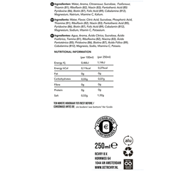 Afbeelding 2 voor Electrolyte Mango Electrolyte Drink - 250ml