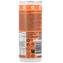 Afbeelding 2 voor The Artisan Drinks Co. Spicy Ginger - 250ml