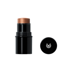 Dr. Hauschka Lip to Cheek Blush Stick 04 Gold - 6.1g