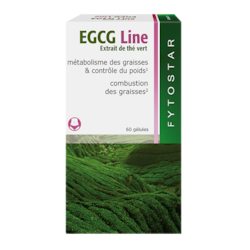 Fytostar EGCG Extrait de thé vert (60 capsules)