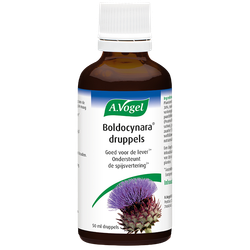 A. Vogel Boldocynara Druppels - 50ml