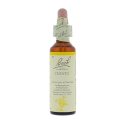 Bach Bloesem Remedie Cerato (20ml)