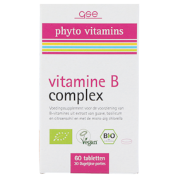 GSE phyto vitamines Vitamine B Complex (60 tabletten)