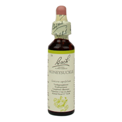 Bach Bloesem Remedie Honeysuckle (20ml)