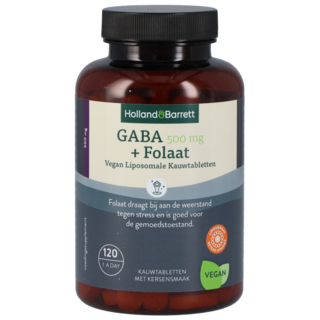 Holland & Barrett GABA 500 mg + Folaat - 120 kauwtabletten
