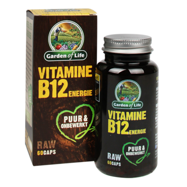Garden Life Raw Vitamine B12 Energie kopen bij Holland & Barrett