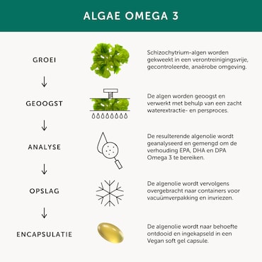 Together Health Omega 3 uit Veganistische Algenbron - 30 Capsules image 3