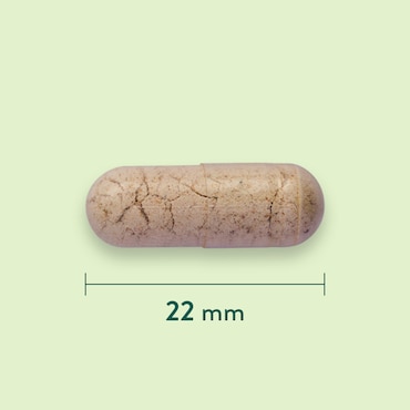 Holland & Barrett Psyllium Vezels 500mg - 180 capsules image 3