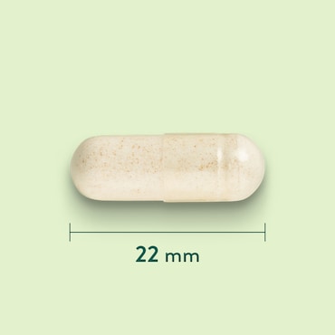 Holland & Barrett Gemberwortel 550 mg - 120 capsules image 3