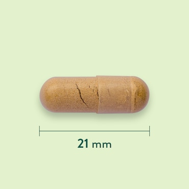 Holland & Barrett Cat's Claw 300 mg - 90 capsules image 3