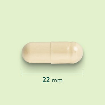 Holland & Barrett Groenlipmossel 500 mg - 120 capsules image 3