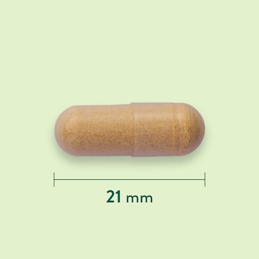 Holland & Barrett Astragalus 470 mg - 90 capsules image 3