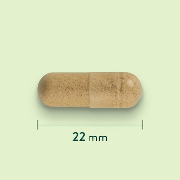 Holland & Barrett Grote Klis 425mg - 90 capsules image 3
