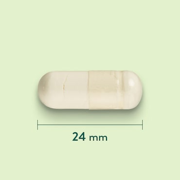 Holland & Barrett Boswellia 250mg - 60 capsules image 3