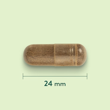 Holland & Barrett Griffe du Diable 510 mg - 120 capsules image 3
