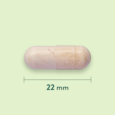 Holland & Barrett Bisglynate de Fer 20mg - 90 capsules image 3
