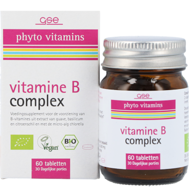 GSE phyto vitamines Vitamine B Complex (60 tabletten) image 2