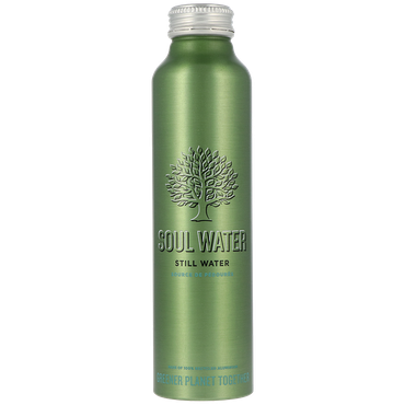 Reviews over Soul Water Mineraalwater Fles - 500 ml