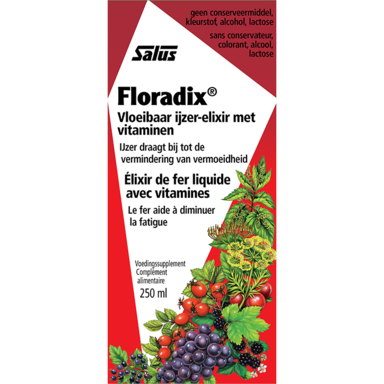 Floradix IJzer-Elixer Met Vitamines (250ml)