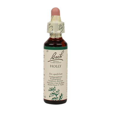 Bach Bloesem Remedie Holly (20ml)