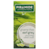 Piramide Groene Thee Earl Grey - 20 theezakjes image 1
