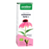 Purasana Echinacea Forte+ Bio (50ml) image 1